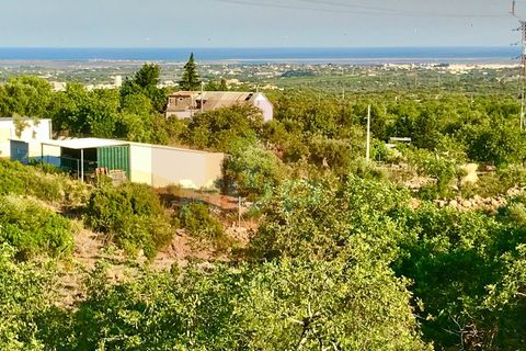 Helårsgrund i Estoi, Faro, Estoi - € 92.000 | Ref: 165210046 - foto 3