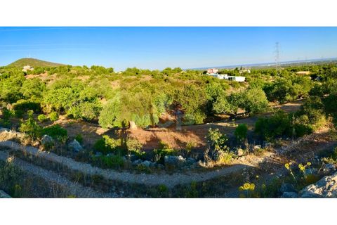 Helårsgrund i Estoi, Faro, Estoi - € 92.000 | Ref: 165210046 - foto 5