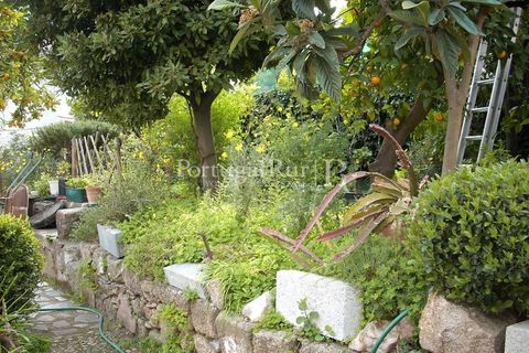 Villa i Castelo Branco, Castelo Branco, Castelo Branco - € 265.000 | Ref: 604 - foto 24