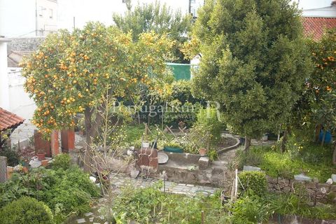 Villa i Castelo Branco, Castelo Branco, Castelo Branco - € 265.000 | Ref: 604 - foto 25
