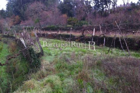 Farm i Sever do Vouga, Aveiro, Sever do Vouga - € 120.000 | Ref: FIN_3801 - foto 2