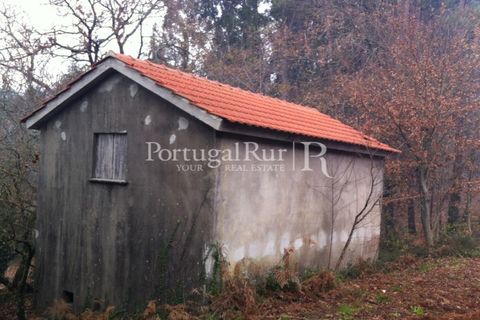 Farm i Sever do Vouga, Aveiro, Sever do Vouga - € 120.000 | Ref: FIN_3801 - foto 3