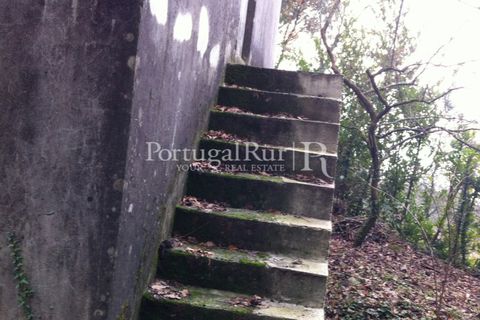 Farm i Sever do Vouga, Aveiro, Sever do Vouga - € 120.000 | Ref: FIN_3801 - foto 4