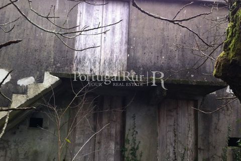 Farm i Sever do Vouga, Aveiro, Sever do Vouga - € 120.000 | Ref: FIN_3801 - foto 5