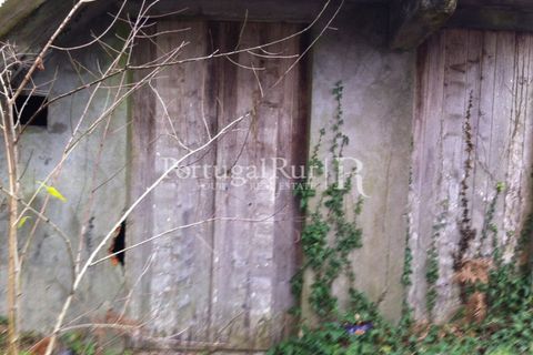 Farm i Sever do Vouga, Aveiro, Sever do Vouga - € 120.000 | Ref: FIN_3801 - foto 6