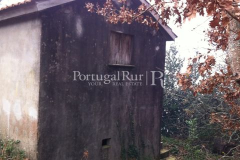 Farm i Sever do Vouga, Aveiro, Sever do Vouga - € 120.000 | Ref: FIN_3801 - foto 7