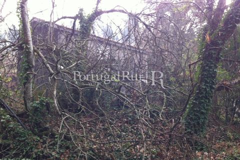 Farm i Sever do Vouga, Aveiro, Sever do Vouga - € 120.000 | Ref: FIN_3801 - foto 8