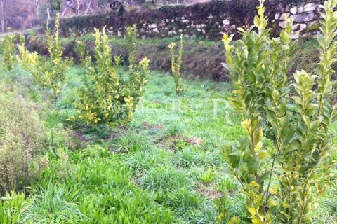 Farm i Sever do Vouga, Aveiro, Sever do Vouga - € 120.000 | Ref: FIN_3801 - foto 10