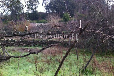 Farm i Sever do Vouga, Aveiro, Sever do Vouga - € 120.000 | Ref: FIN_3801 - foto 11