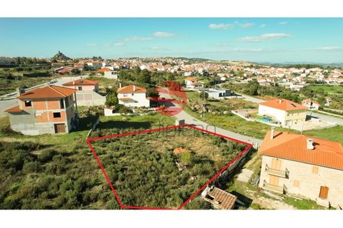 Terra a Meda, Guarda, Meda - € 37.500 | Ref: 018/MDA - foto 2