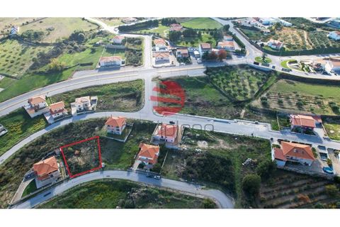 Terra a Meda, Guarda, Meda - € 37.500 | Ref: 018/MDA - foto 3