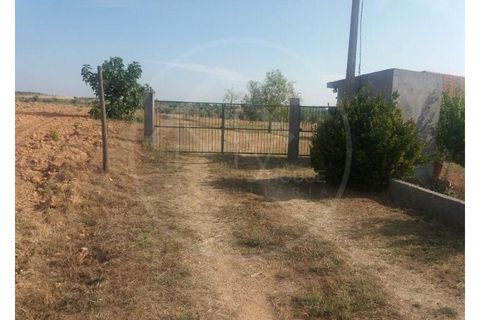 Gård i Alvite e Passos, Braga, Alvite e Passos - € 179 000 | Ref: Q 5033 - foto 3