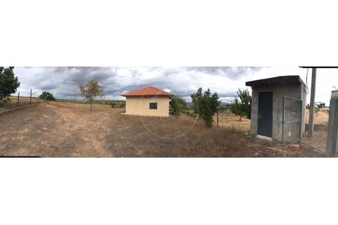 Gård i Alvite e Passos, Braga, Alvite e Passos - € 179 000 | Ref: Q 5033 - foto 10