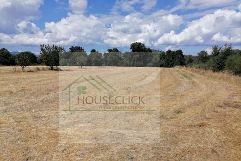 Helårsgrund i Belmonte, Castelo Branco, Belmonte - € 25.000 | Ref: House_110 - foto 4