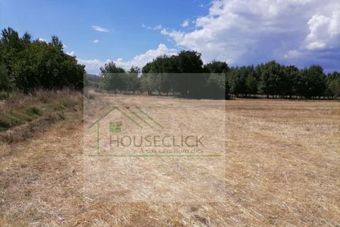 Helårsgrund i Belmonte, Castelo Branco, Belmonte - € 25.000 | Ref: House_110 - foto 5