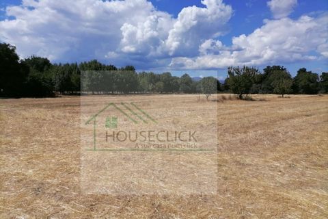 Helårsgrund i Belmonte, Castelo Branco, Belmonte - € 25.000 | Ref: House_110 - foto 6