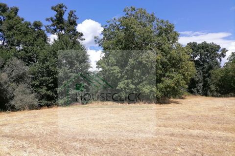 Helårsgrund i Belmonte, Castelo Branco, Belmonte - € 25.000 | Ref: House_110 - foto 8