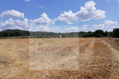 Helårsgrund i Belmonte, Castelo Branco, Belmonte - € 25.000 | Ref: House_110 - foto 9