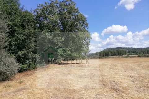 Helårsgrund i Belmonte, Castelo Branco, Belmonte - € 25.000 | Ref: House_110 - foto 10
