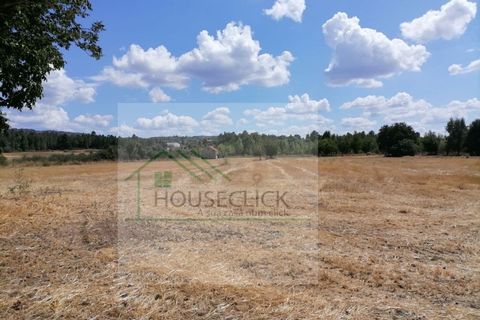 Helårsgrund i Belmonte, Castelo Branco, Belmonte - € 25.000 | Ref: House_110 - foto 11