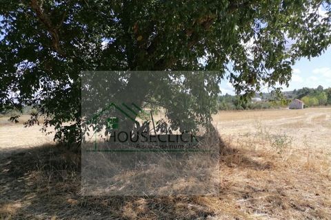 Helårsgrund i Belmonte, Castelo Branco, Belmonte - € 25.000 | Ref: House_110 - foto 13
