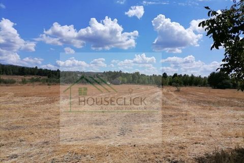 Helårsgrund i Belmonte, Castelo Branco, Belmonte - € 25.000 | Ref: House_110 - foto 14