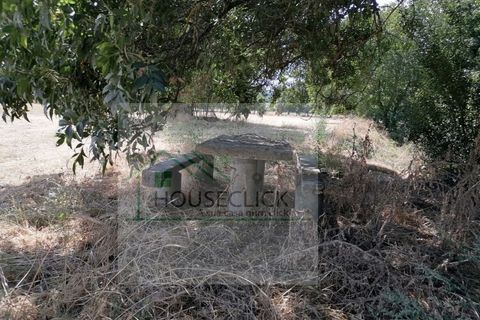 Helårsgrund i Belmonte, Castelo Branco, Belmonte - € 25.000 | Ref: House_110 - foto 15