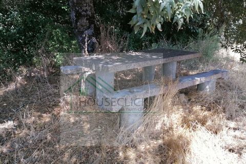 Helårsgrund i Belmonte, Castelo Branco, Belmonte - € 25.000 | Ref: House_110 - foto 16