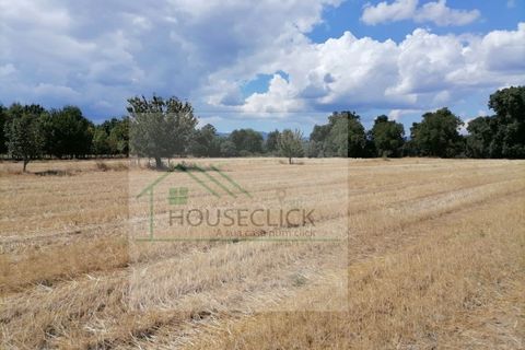 Helårsgrund i Belmonte, Castelo Branco, Belmonte - € 25.000 | Ref: House_110 - foto 18