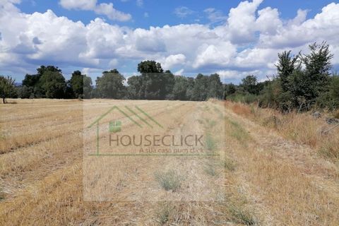 Helårsgrund i Belmonte, Castelo Branco, Belmonte - € 25.000 | Ref: House_110 - foto 19