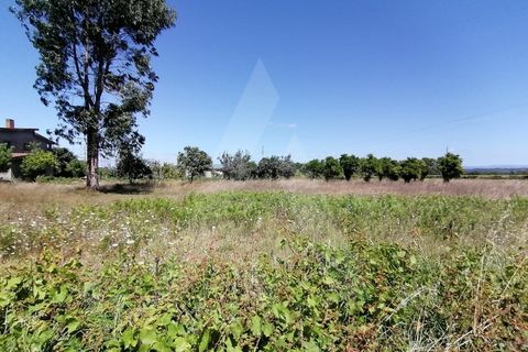 Helårsgrund i Aveiro, Aveiro, Aveiro - € 49.500 | Ref: 1011280/21 GL - foto 2