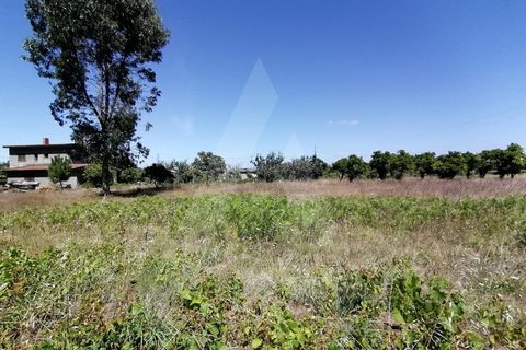 Helårsgrund i Aveiro, Aveiro, Aveiro - € 49.500 | Ref: 1011280/21 GL - foto 3