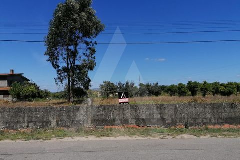 Helårsgrund i Aveiro, Aveiro, Aveiro - € 49.500 | Ref: 1011280/21 GL - foto 4