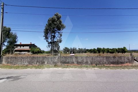 Helårsgrund i Aveiro, Aveiro, Aveiro - € 49.500 | Ref: 1011280/21 GL - foto 5