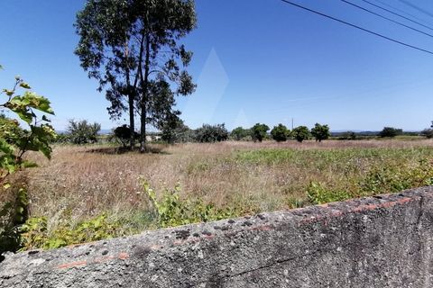 Helårsgrund i Aveiro, Aveiro, Aveiro - € 49.500 | Ref: 1011280/21 GL - foto 6