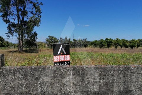 Helårsgrund i Aveiro, Aveiro, Aveiro - € 49.500 | Ref: 1011280/21 GL - foto 7