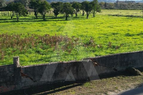 Helårsgrund i Aveiro, Aveiro, Aveiro - € 49.500 | Ref: 1011280/21 GL - foto 8