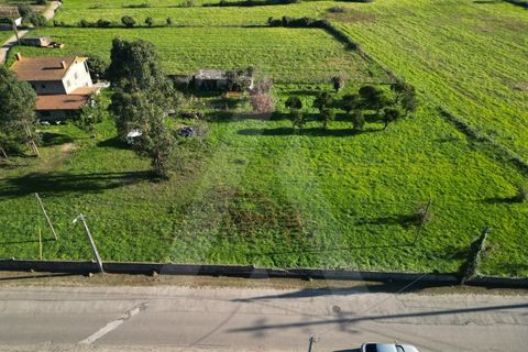 Helårsgrund i Aveiro, Aveiro, Aveiro - € 49.500 | Ref: 1011280/21 GL - foto 9