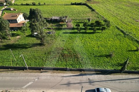Helårsgrund i Aveiro, Aveiro, Aveiro - € 49.500 | Ref: 1011280/21 GL - foto 12