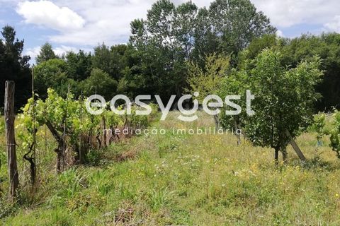 Helårsgrund i Aveiro, Aveiro, Aveiro - € 40.000 | Ref: EA59352 - foto 5