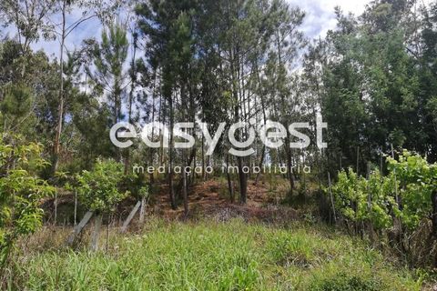 Helårsgrund i Aveiro, Aveiro, Aveiro - € 40.000 | Ref: EA59352 - foto 6