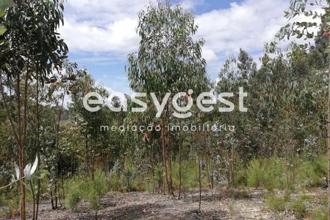 Helårsgrund i Aveiro, Aveiro, Aveiro - € 40.000 | Ref: EA59352 - foto 9