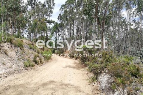 Helårsgrund i Aveiro, Aveiro, Aveiro - € 40.000 | Ref: EA59352 - foto 10