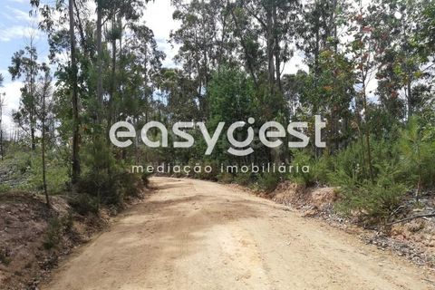 Helårsgrund i Aveiro, Aveiro, Aveiro - € 40.000 | Ref: EA59352 - foto 11