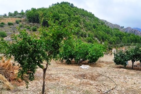 Helårsgrund i Lorcha, Alicante, Lorcha - € 190.000 | Ref: 2815 - foto 25