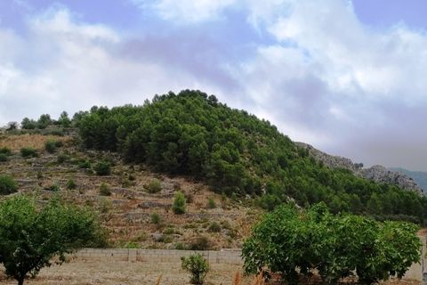 Helårsgrund i Lorcha, Alicante, Lorcha - € 190.000 | Ref: 2815 - foto 26