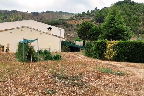 Helårsgrund i Lorcha, Alicante, Lorcha - € 190.000 | Ref: 2815 - foto 29