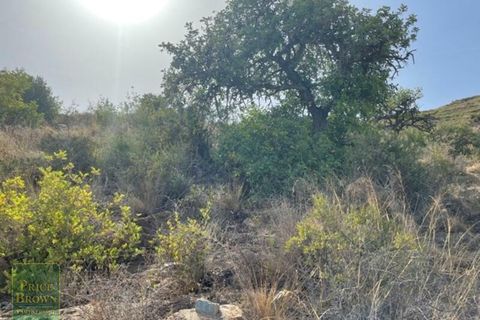 Helårsgrund i Mojacar, Almeria, Mojacar - € 65.000 | Ref: LANCR100 - foto 14