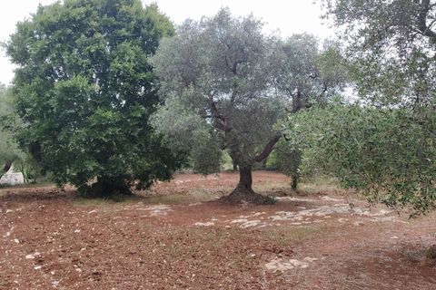 Lejlighed i Ostuni, Brindisi, Ostuni - € 145.000 | Ref: 134 - foto 19