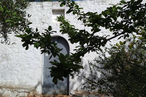 Lejlighed i Ostuni, Brindisi, Ostuni - € 145.000 | Ref: 134 - foto 23
